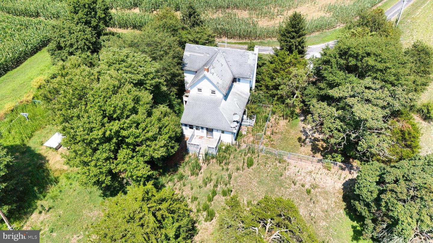 3642 Blue Bird Ln Property Photo 16