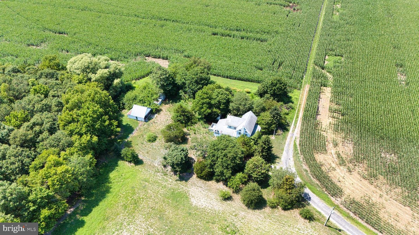 3642 Blue Bird Ln Property Photo 18
