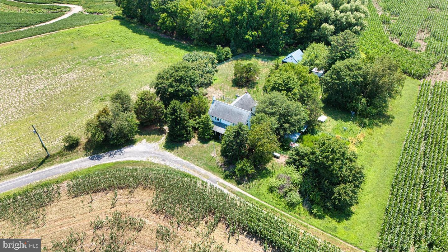 3642 Blue Bird Ln Property Photo 21