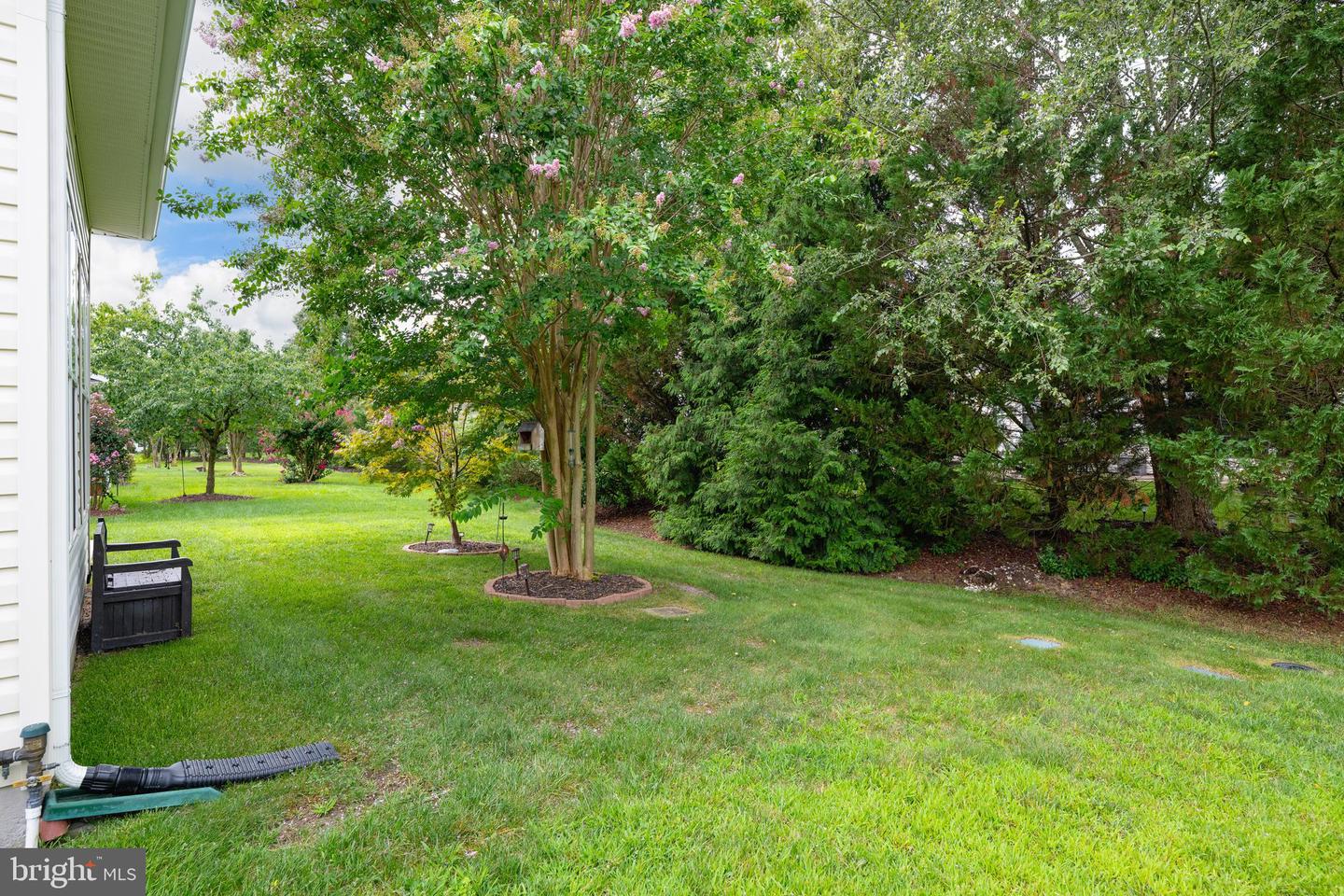 85 Emilys Pintail Dr Property Photo 19