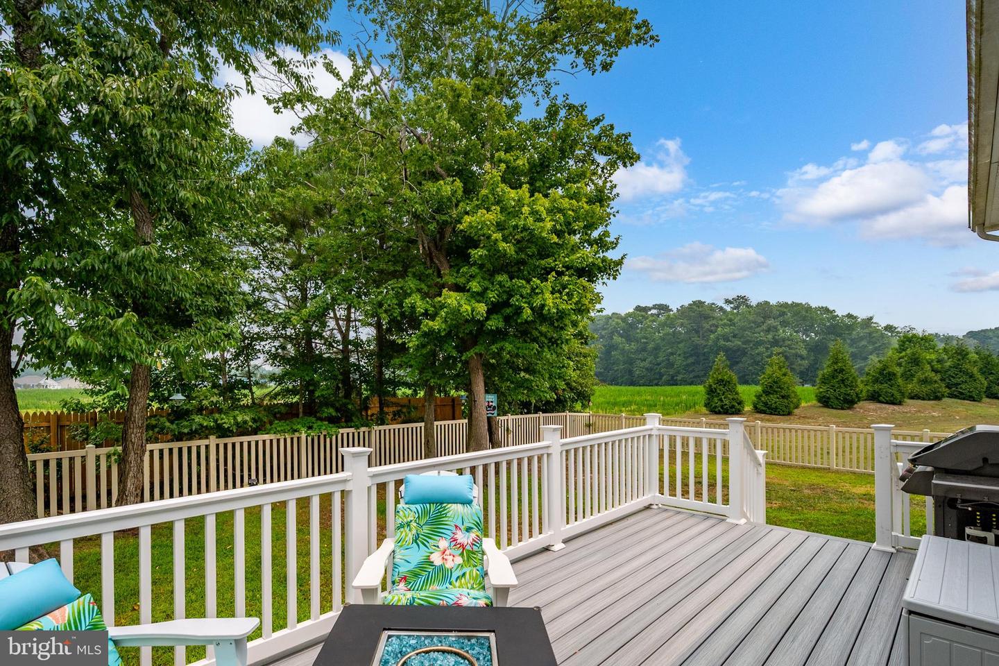 38523 Blue Hen Dr Property Photo 58