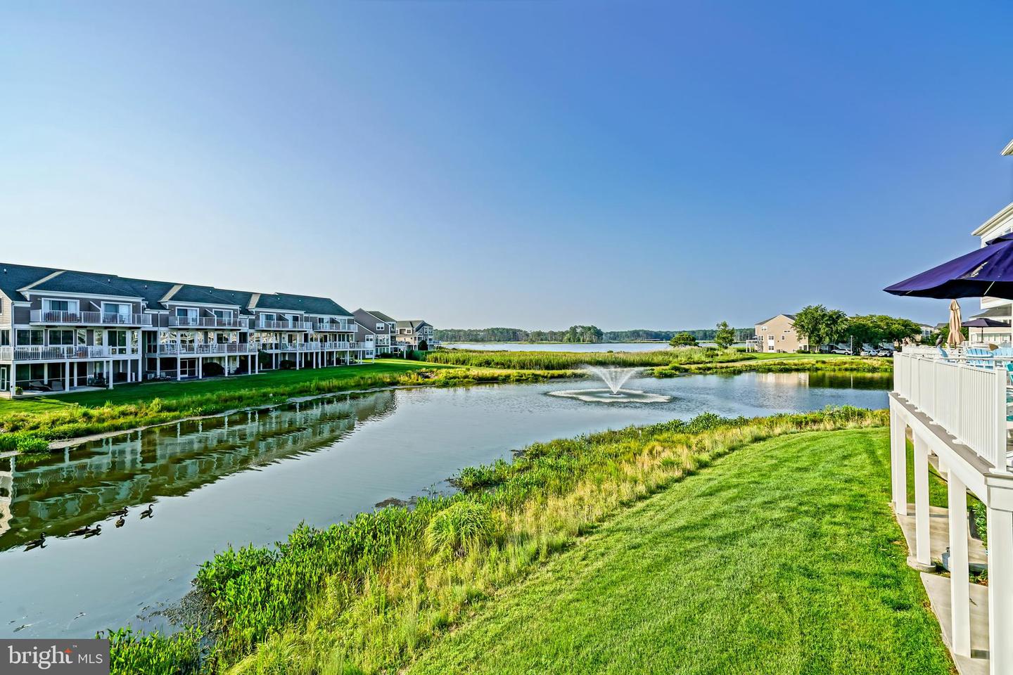 38291 Osprey Ct #1169 Property Photo 6