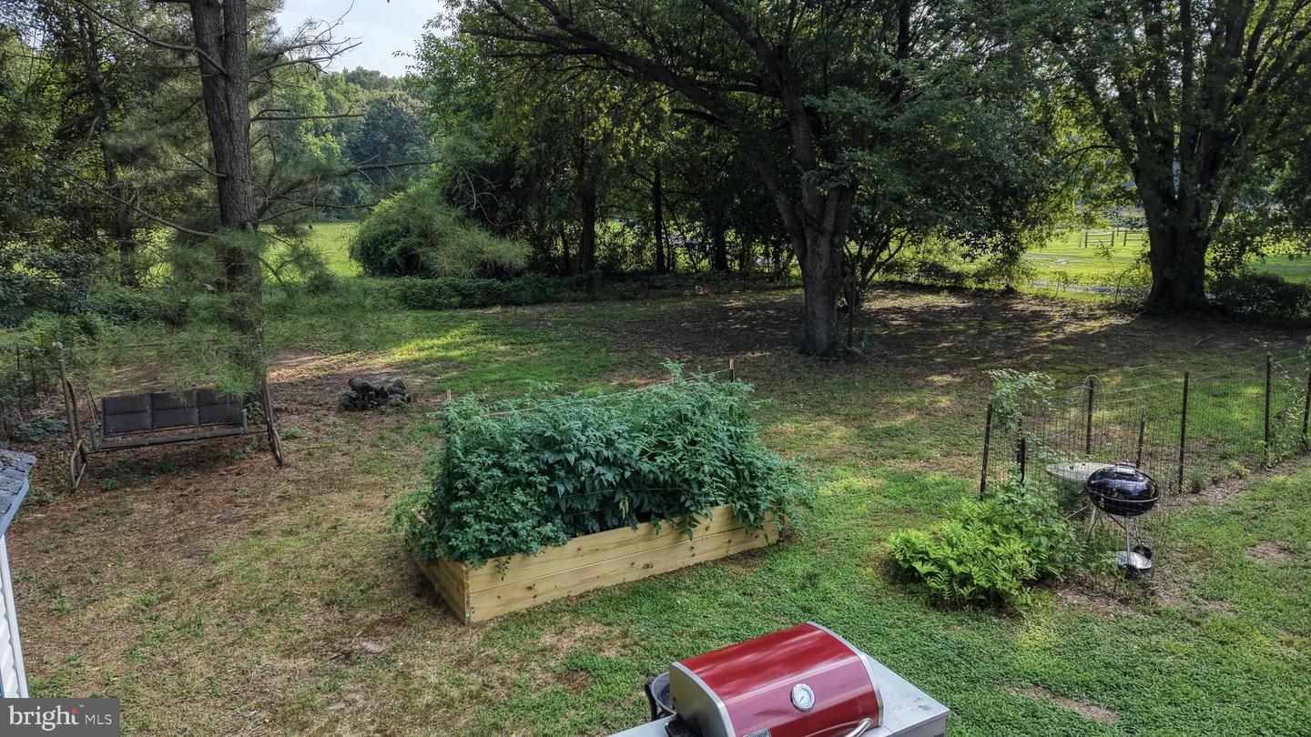 16384 Abbotts Pond Rd Property Photo 22