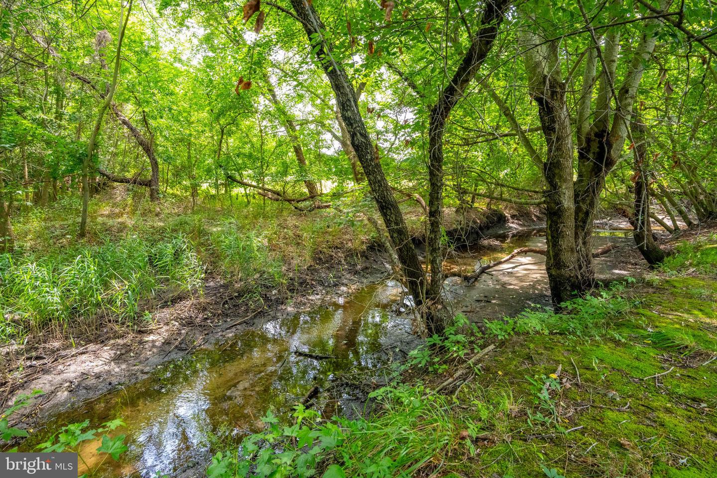 36444 Club House Rd Property Photo 66