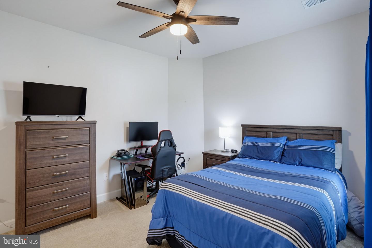 31254 Ringtail Dr Property Photo 37
