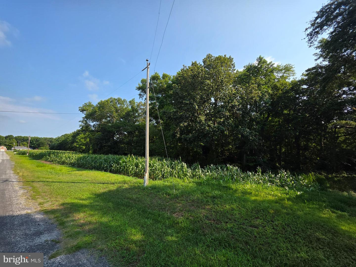 Tbd Lot A Phillips Rd Property Photo 4