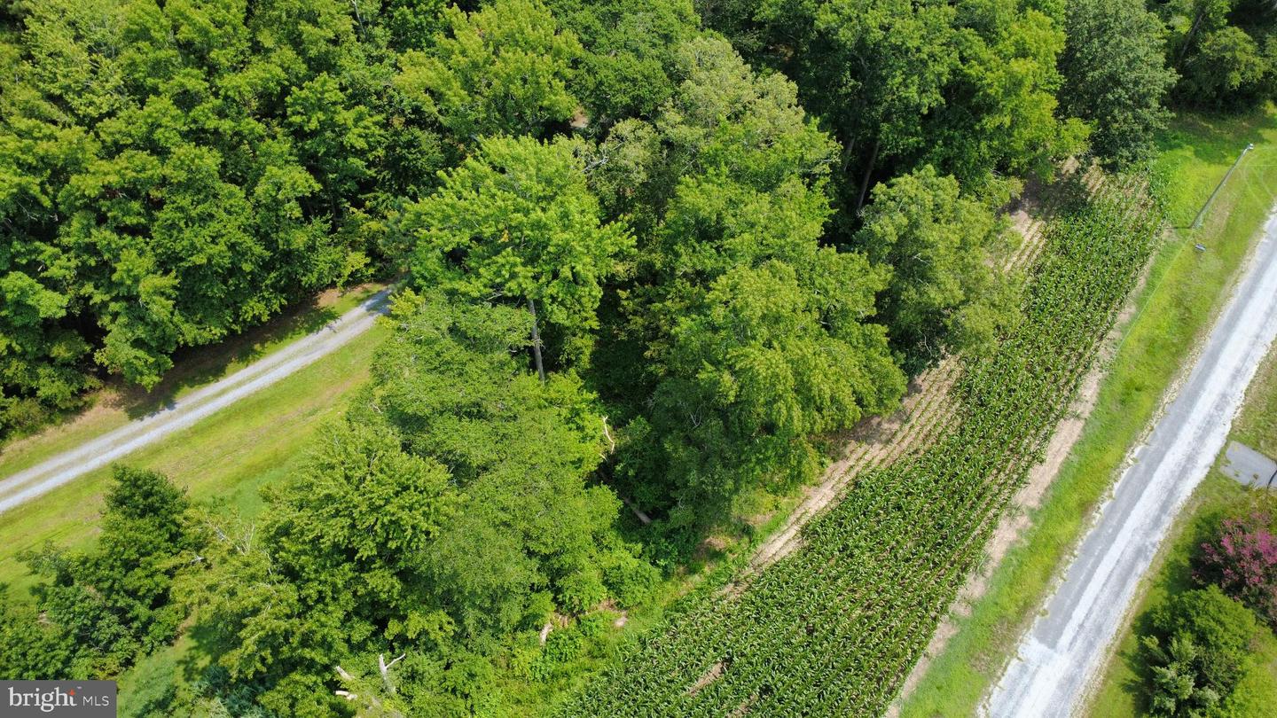 Tbd Lot A Phillips Rd Property Photo 6