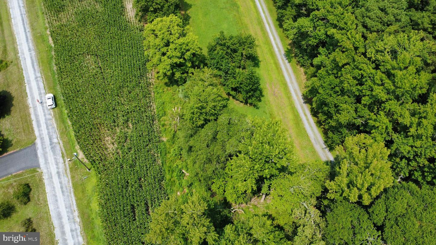 Tbd Lot A Phillips Rd Property Photo 8