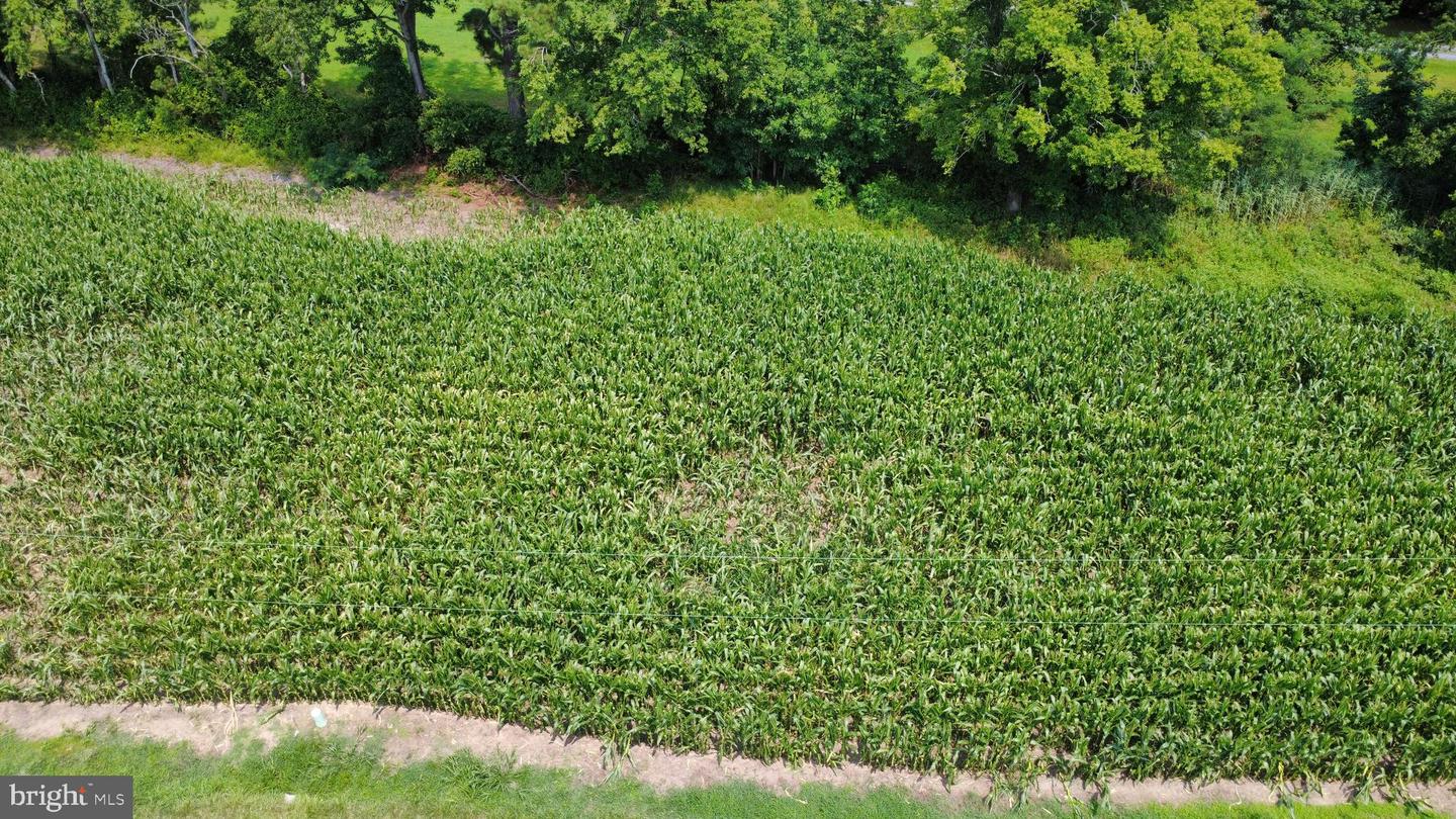 Tbd Lot A Phillips Rd Property Photo 10