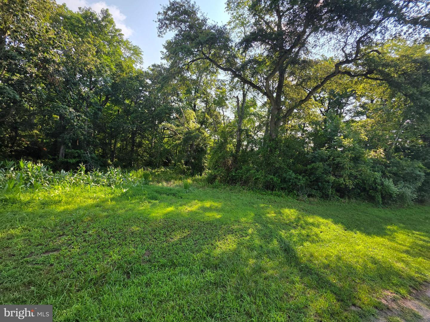 TBD LOT B PHILLIPS RD Property Photo 1