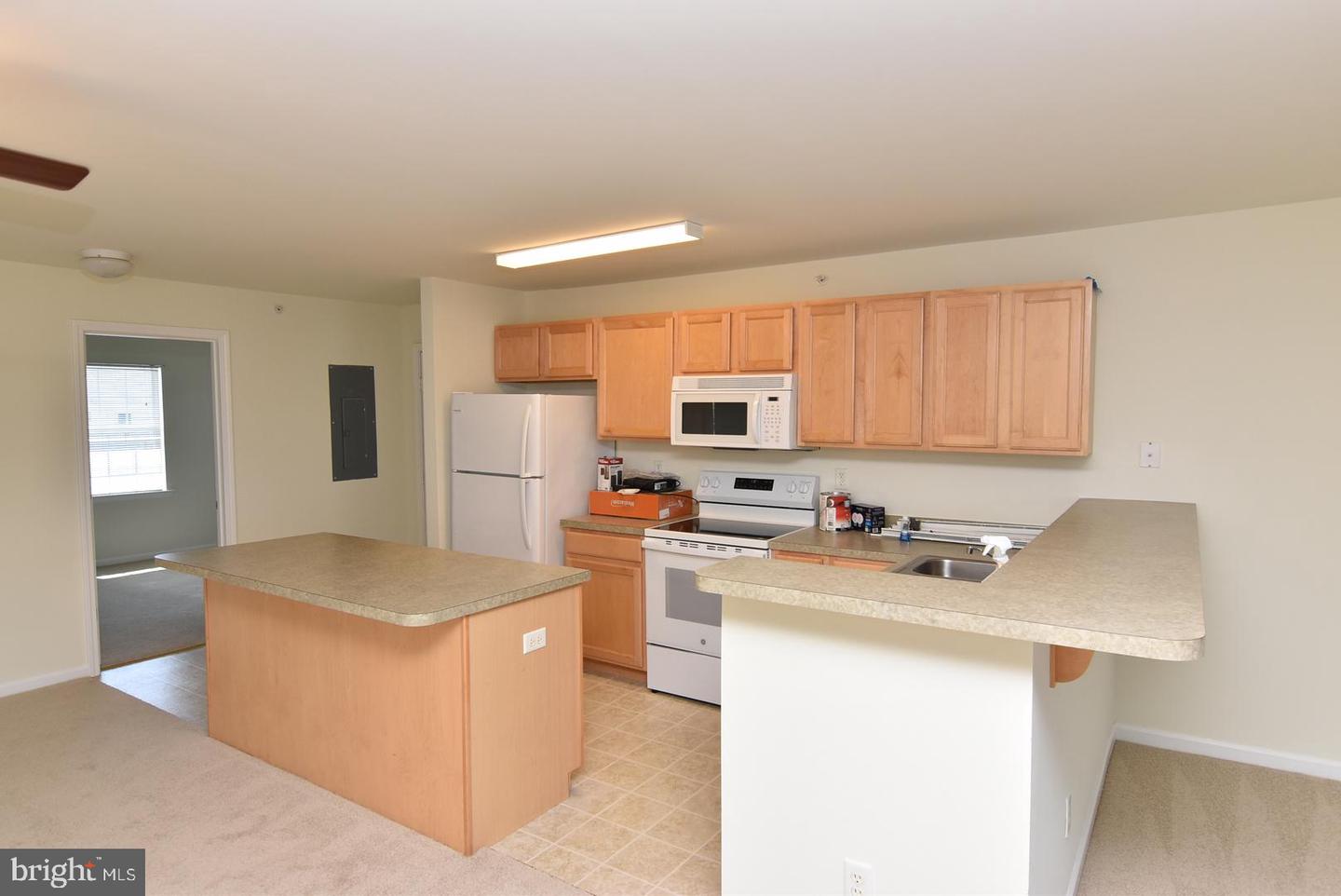 1306 Caitlins Way Property Photo 4