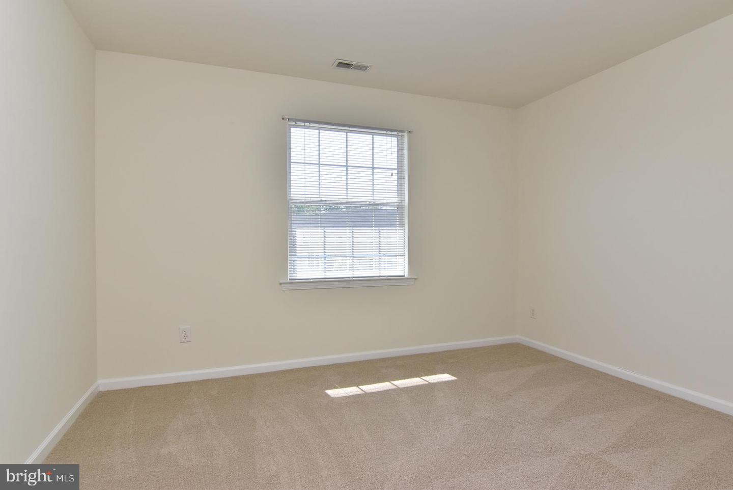 1306 Caitlins Way Property Photo 14