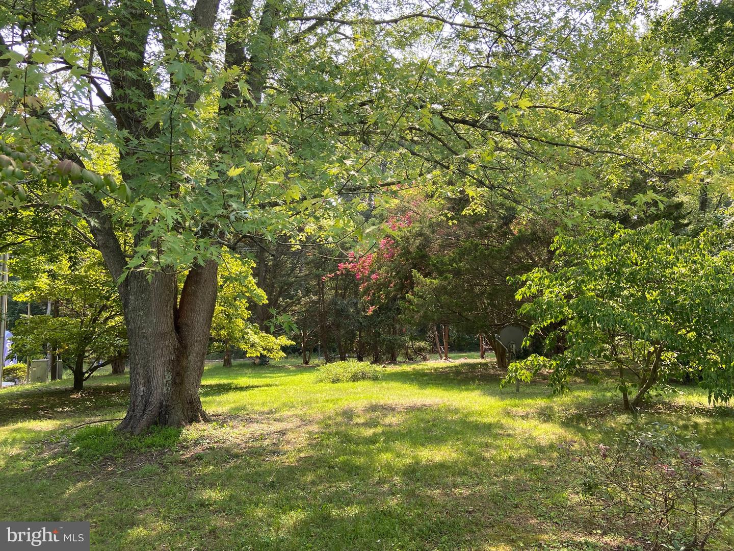 17312 Pine Water Dr Property Photo 33