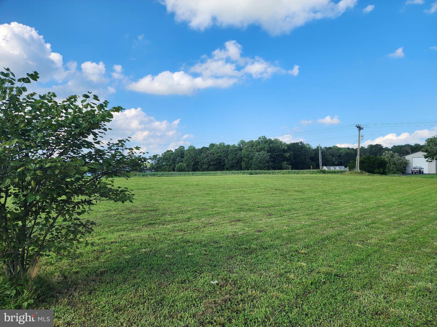 16804 Gravel Hill Rd Property Photo 10