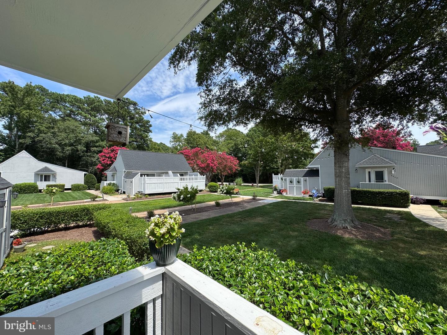 33542 Volley Ct #4001 Property Photo 11