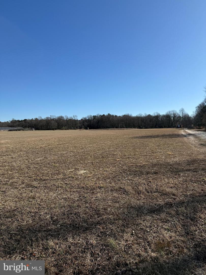 12393-lot # 3 Taylor Mill Road Property Photo 1