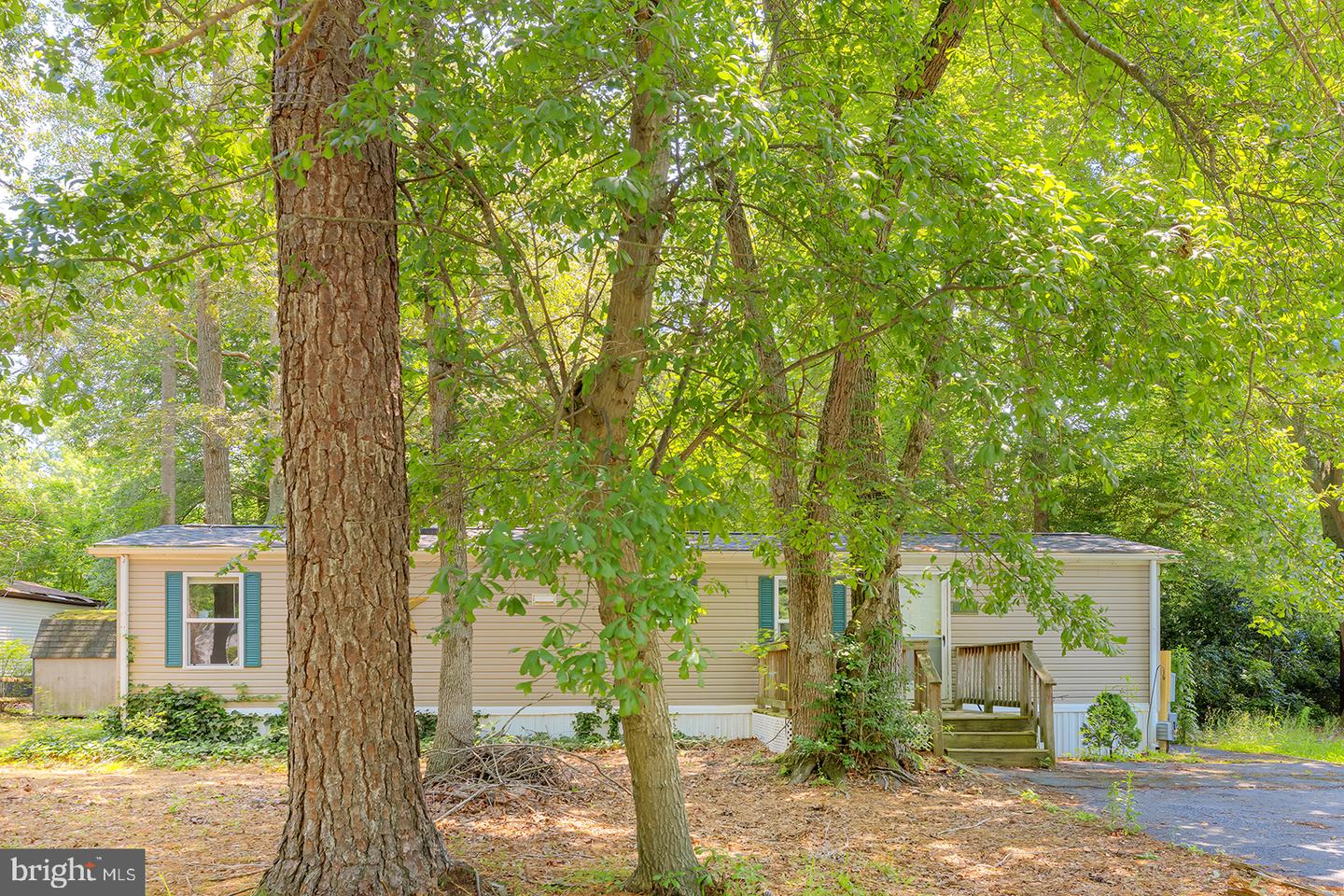 24119 Celtic St Property Photo 3