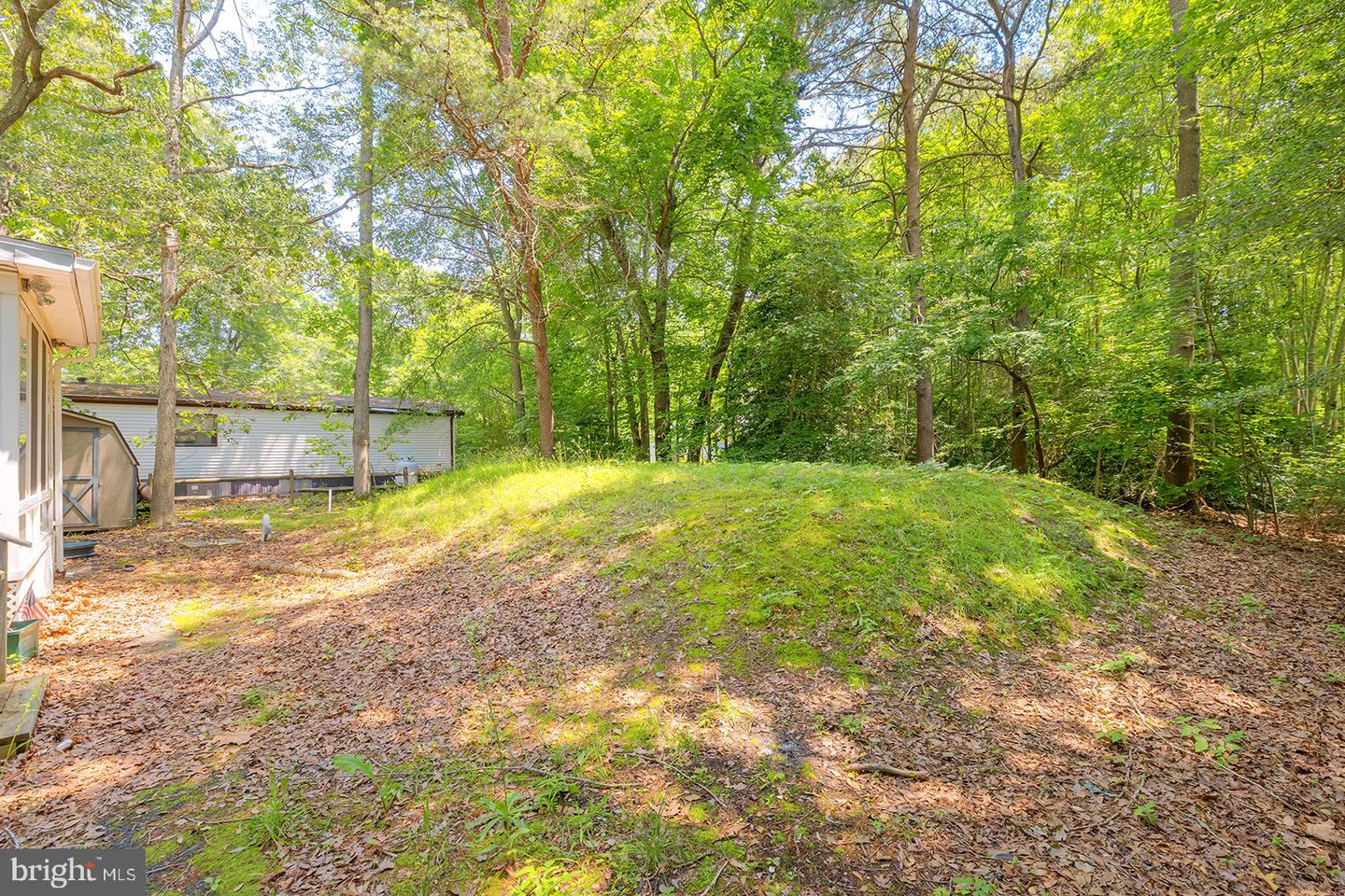 24119 Celtic St Property Photo 5