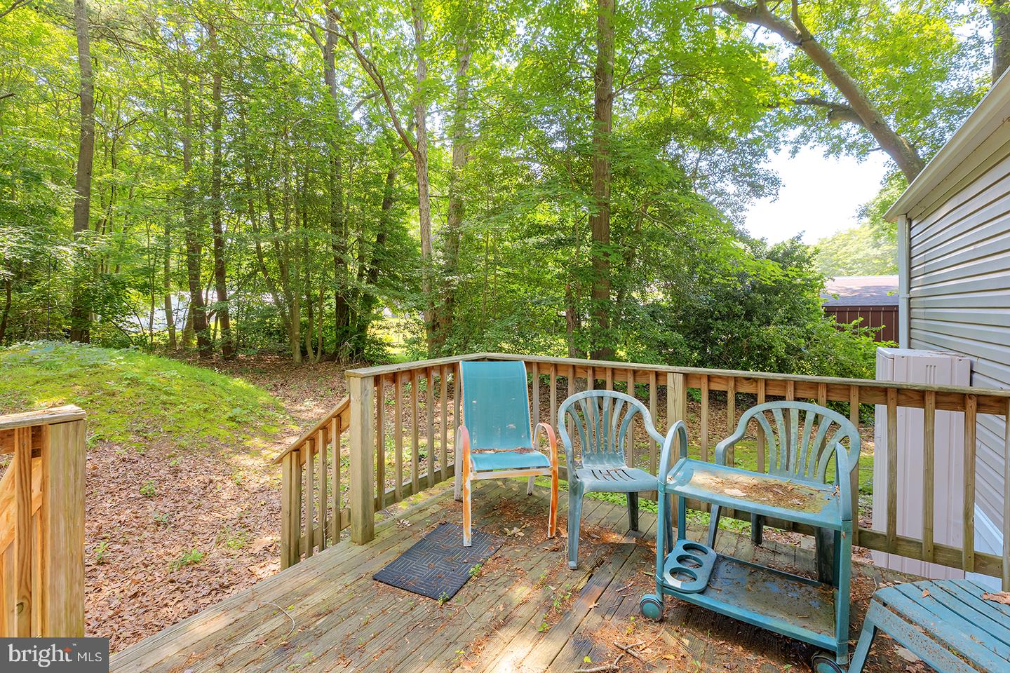 24119 Celtic St Property Photo 24