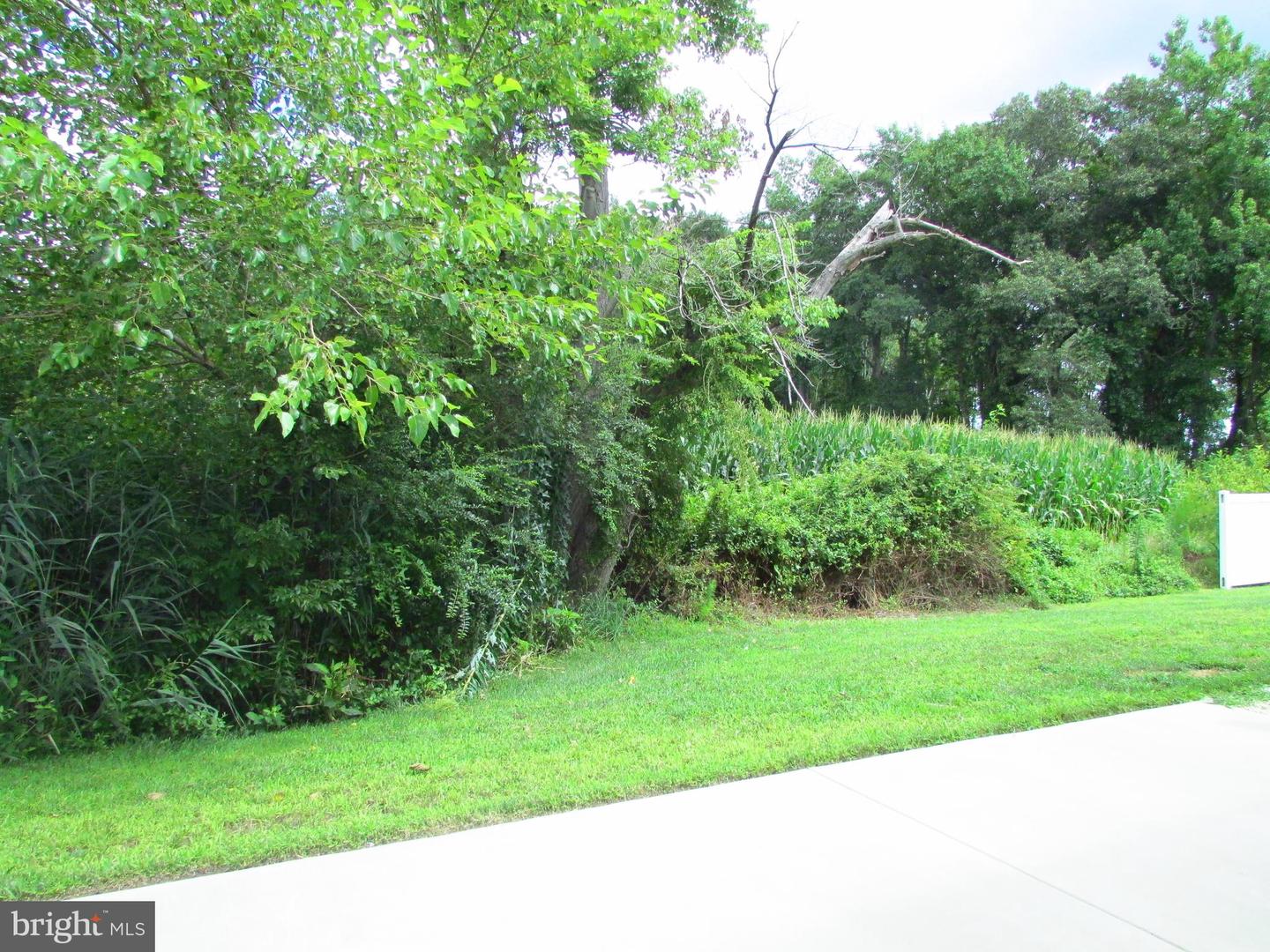 32362 Cea Dag Cir Property Photo 13