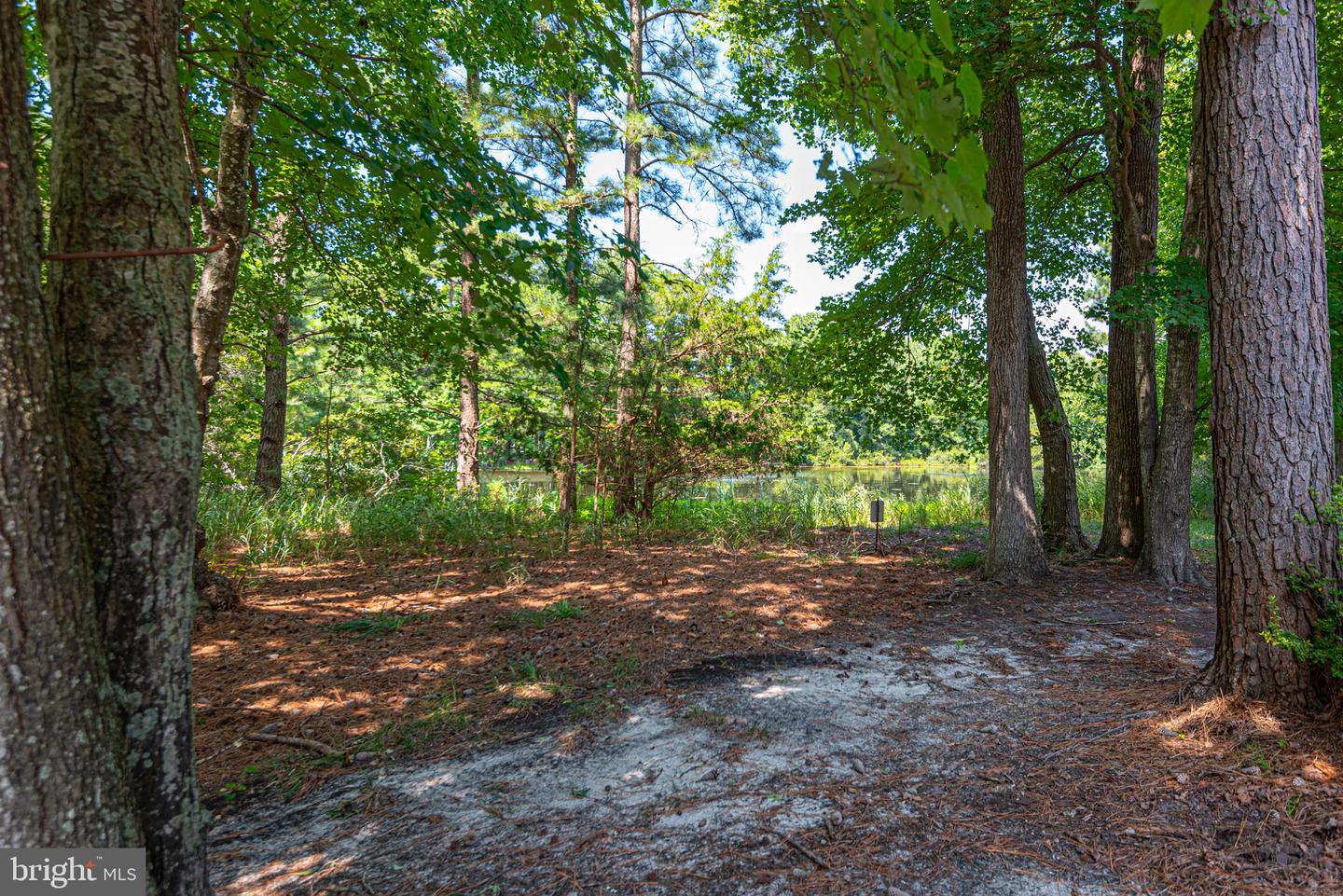 31870 Schooner Dr #43 Property Photo 28