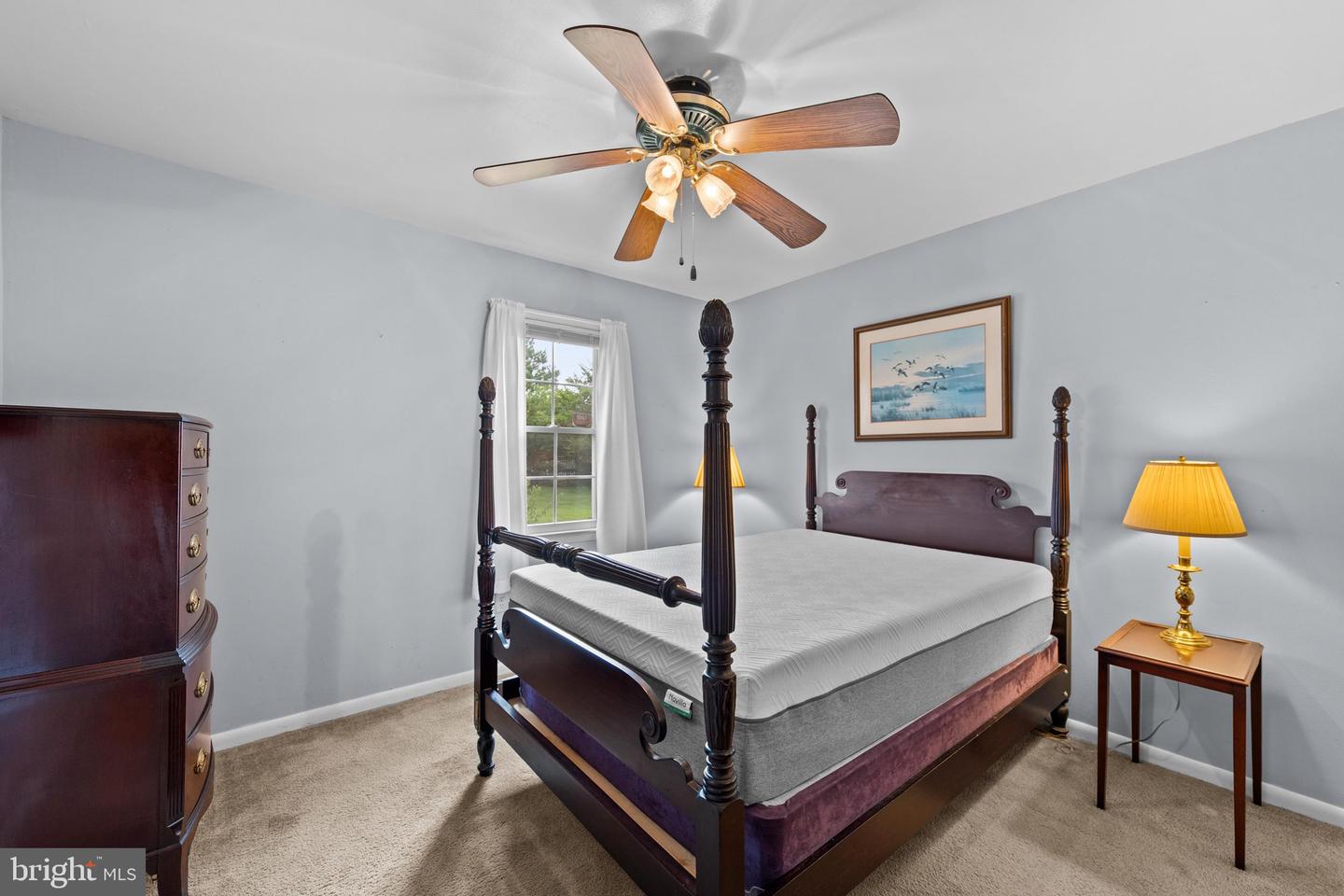 2 Alfred St Property Photo 17