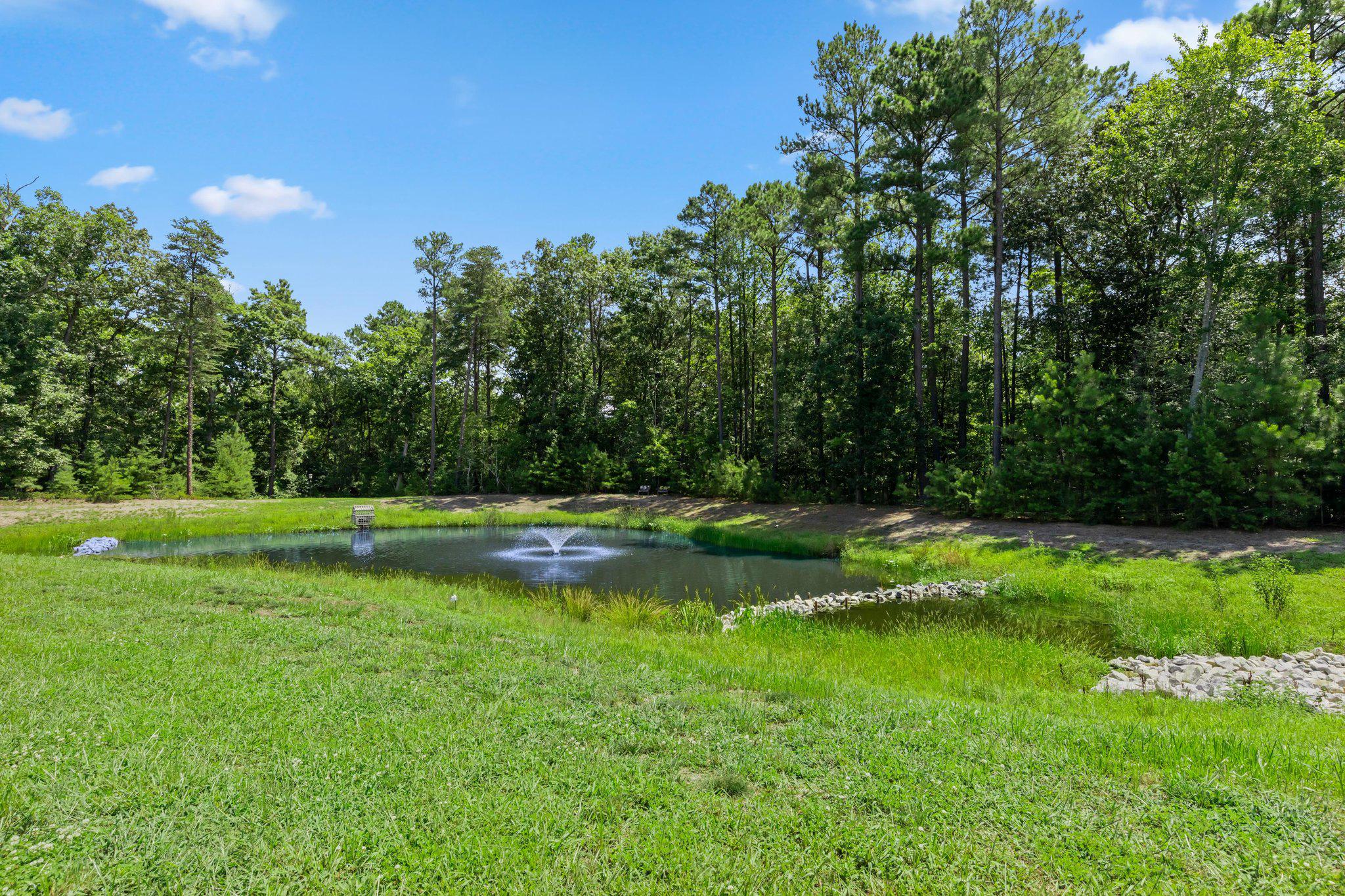 30275 Lone Palm Way Property Photo 54