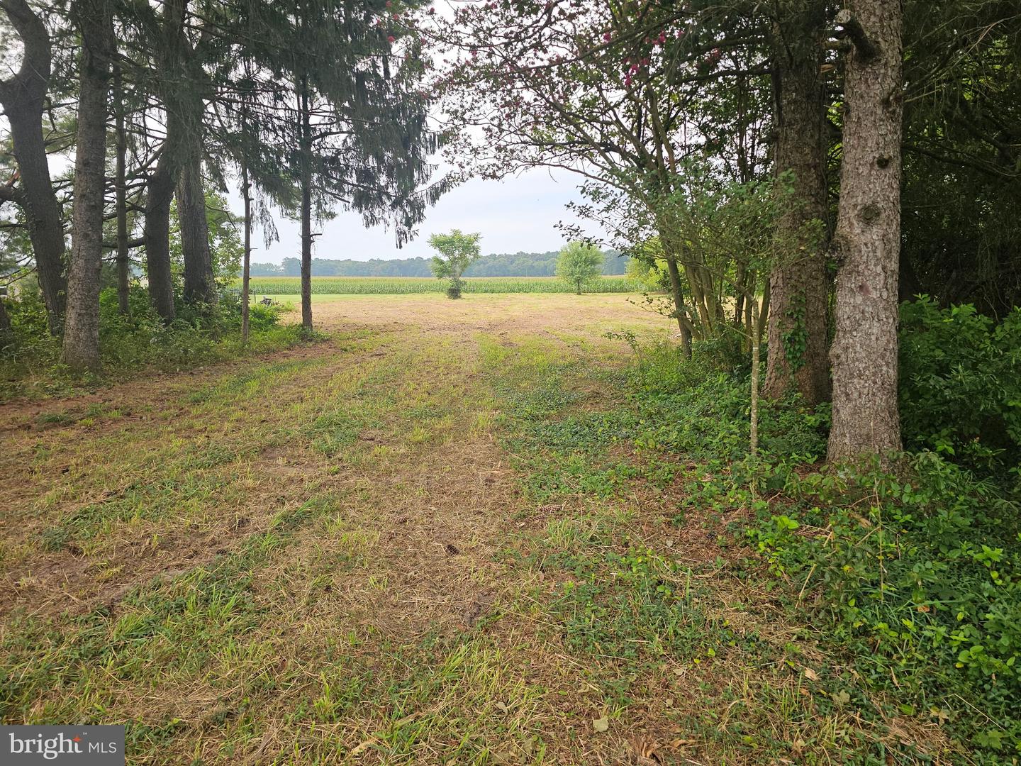 13096 Russell Rd Property Photo 1