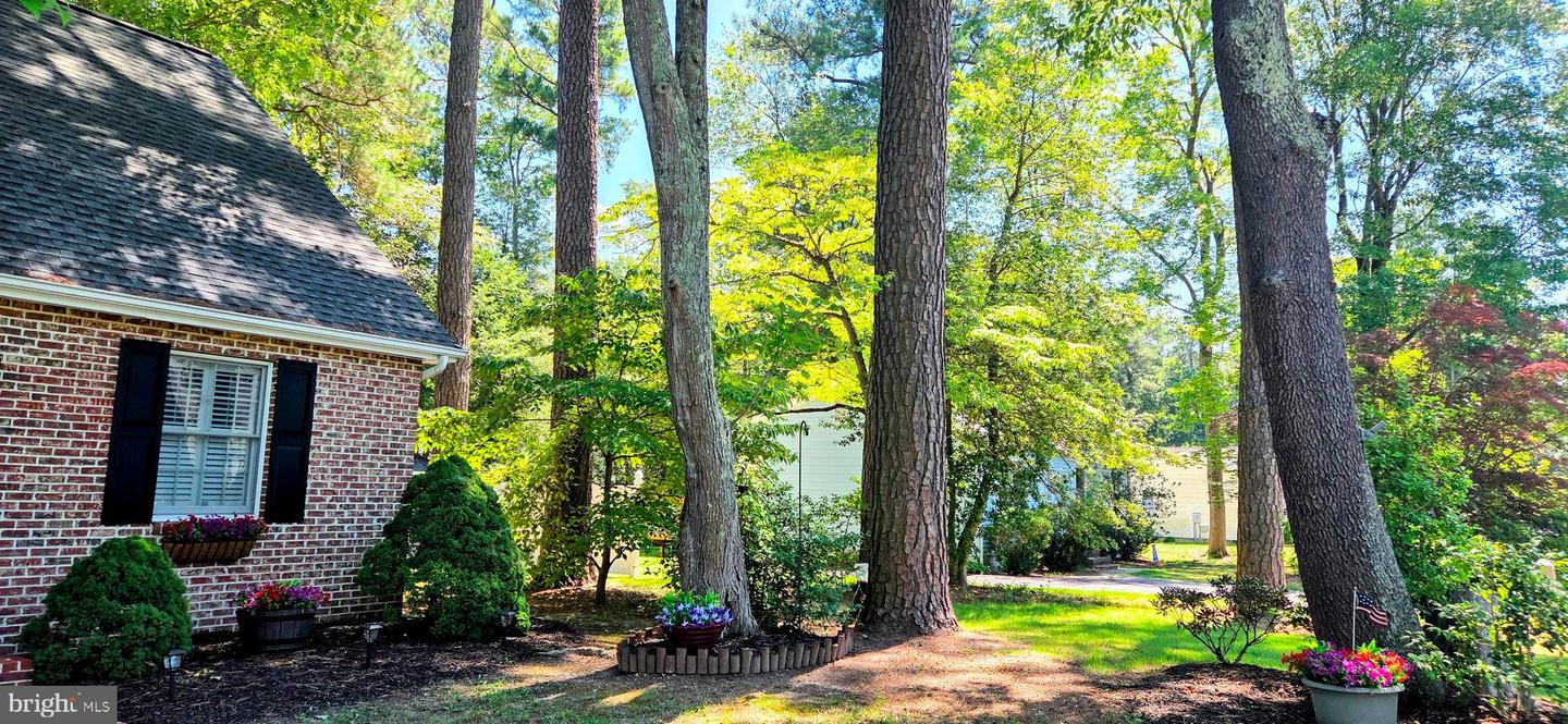 9 Cedarwood Dr Property Photo 26