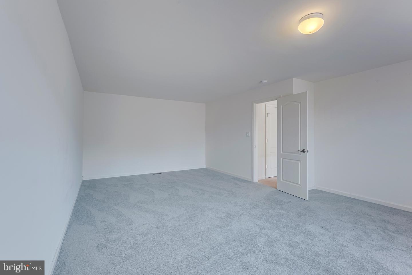 33298 Lone Cedar Lndg #5802 Property Photo 41