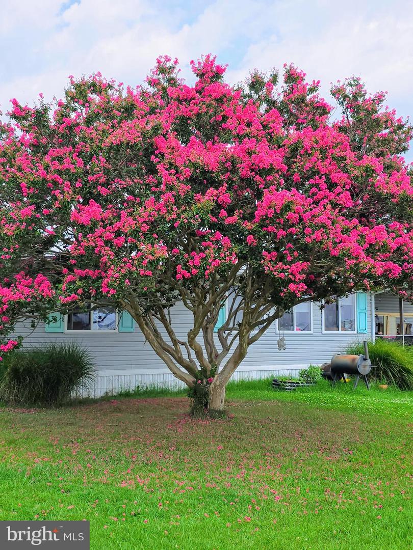 27007 Sand Shrimp Ln Property Photo 32