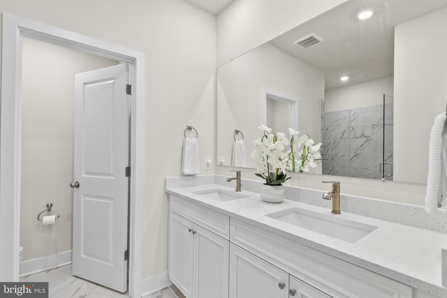 24733 Ridgeville Way Property Photo 17