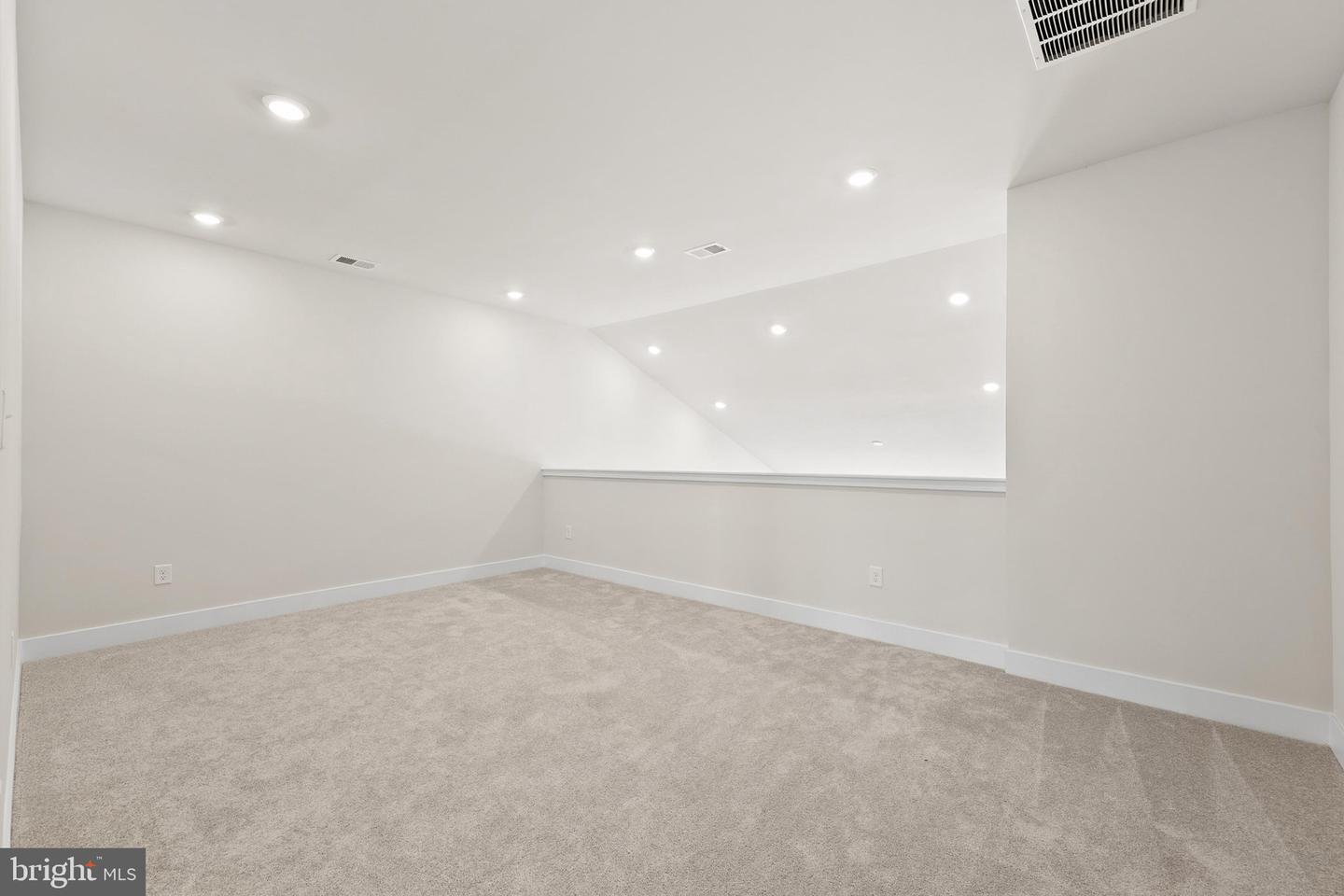 24733 Ridgeville Way Property Photo 67