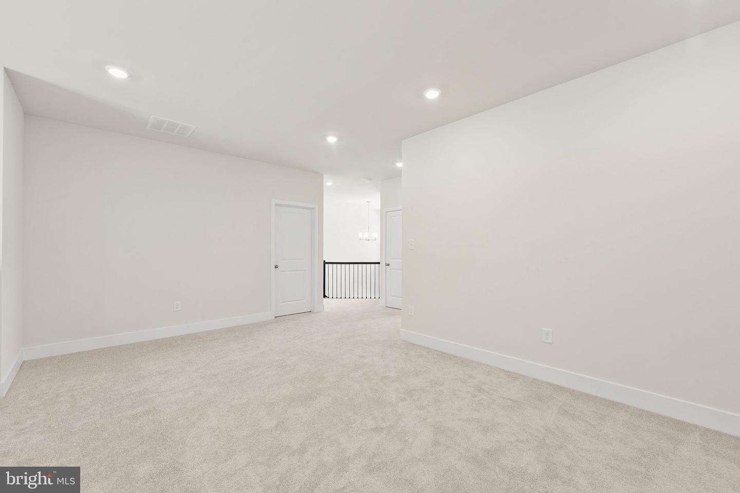 24733 Ridgeville Way Property Photo 68