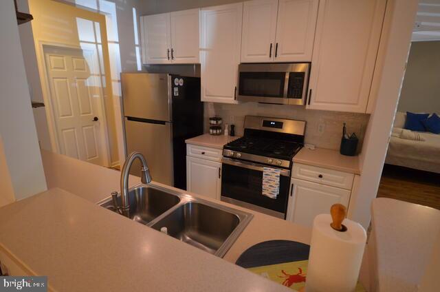 300 Pebble Dr Property Photo 2