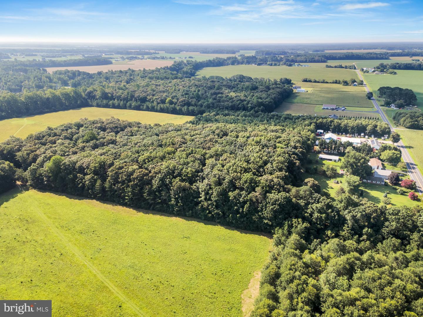 10217 Clendaniel Pond Rd Property Photo 32