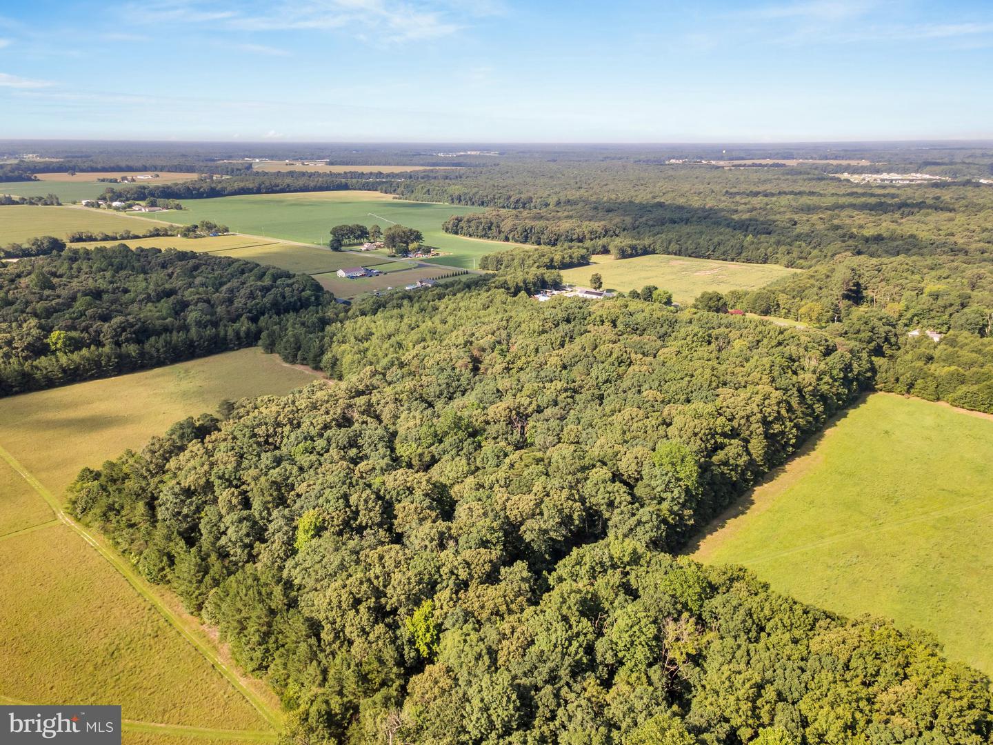 10217 Clendaniel Pond Rd Property Photo 33