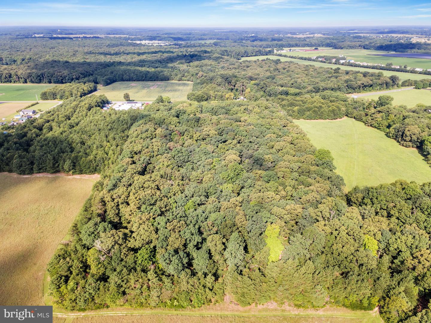 10217 Clendaniel Pond Rd Property Photo 34