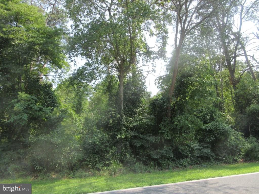 Lot 1 River Rd Property Photo 1