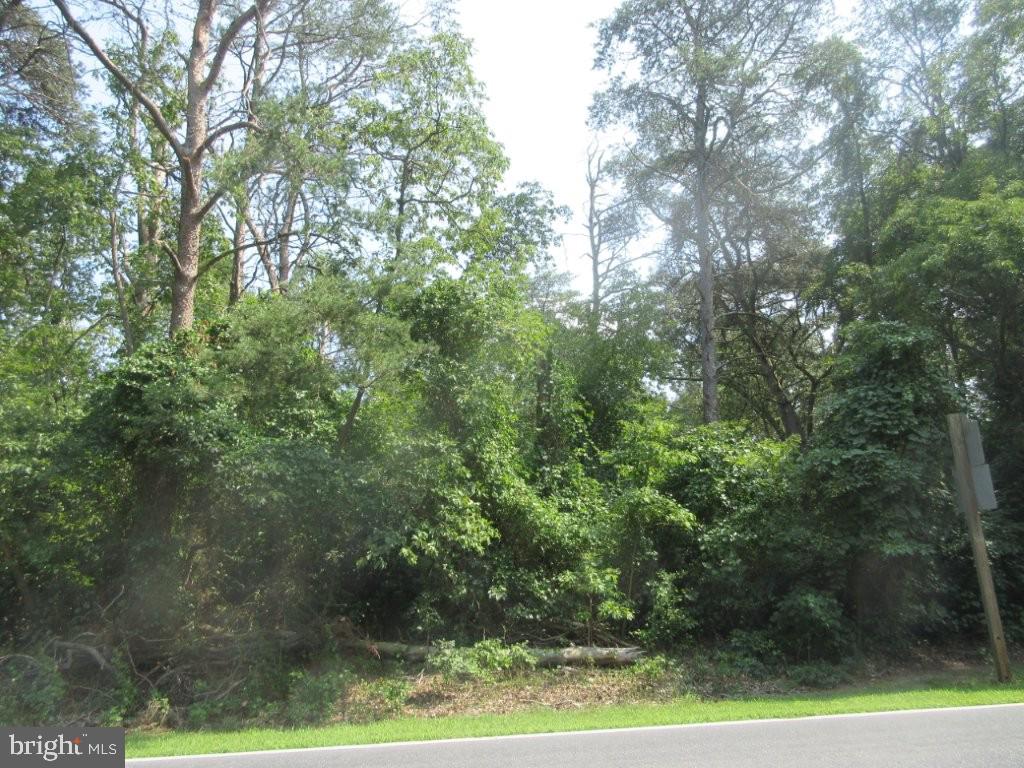 LOT 2 RIVER RD Property Photo 1