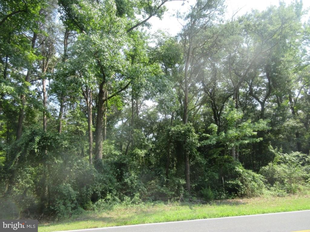 LOT 3 RIVER RD Property Photo 1