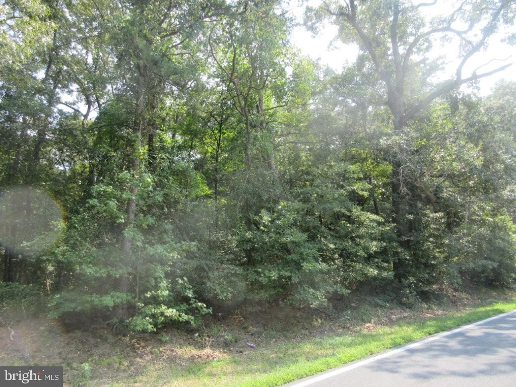 LOT 4 RIVER RD Property Photo 1