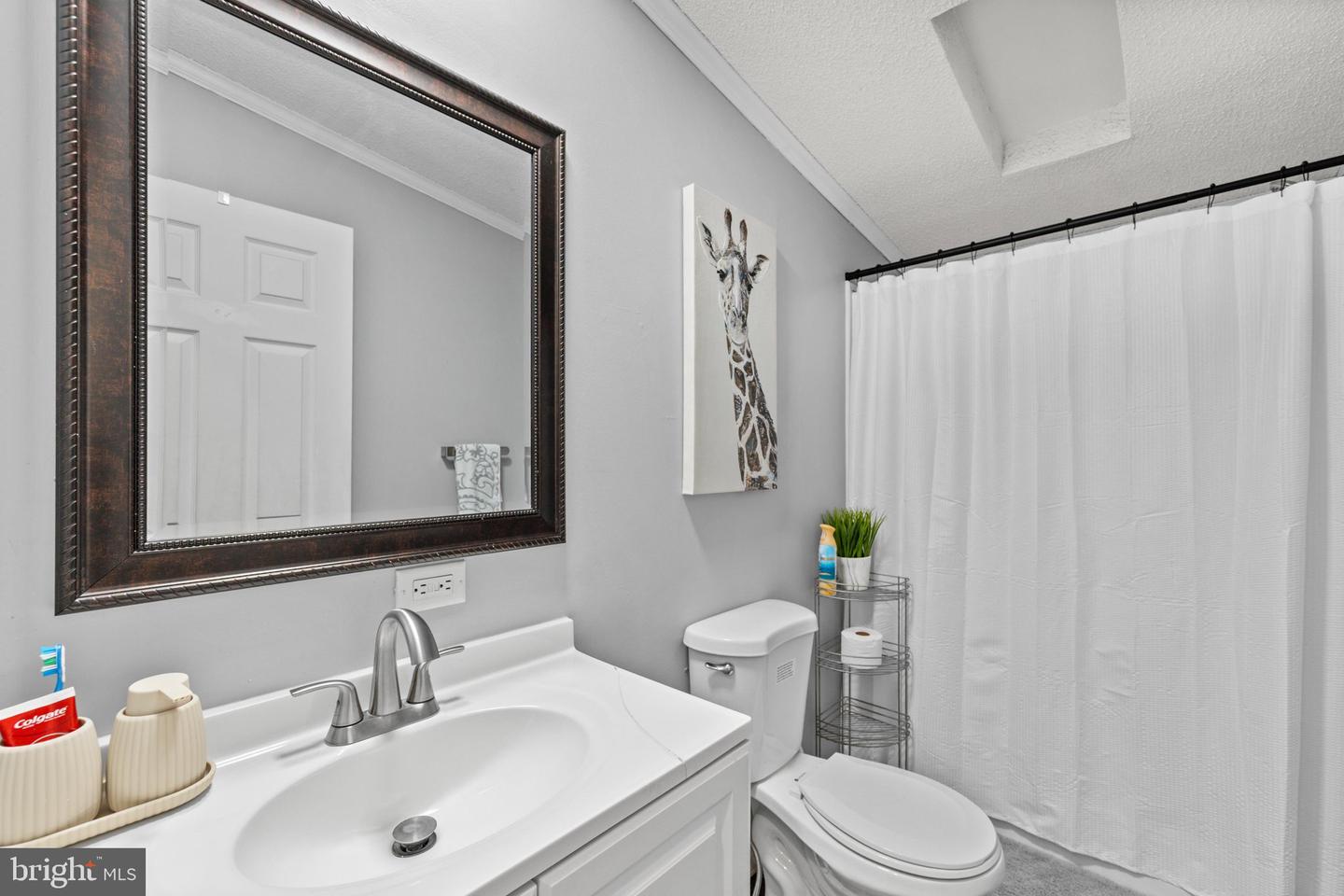 72 White Pine Dr Property Photo 13