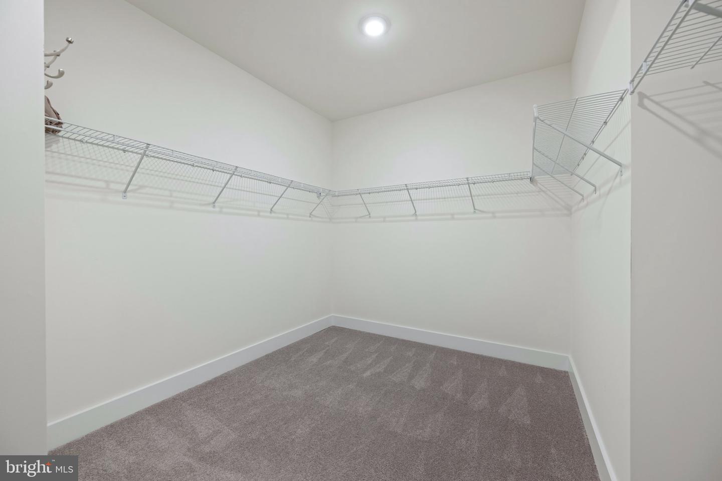 35265 Big Buck Property Photo 37