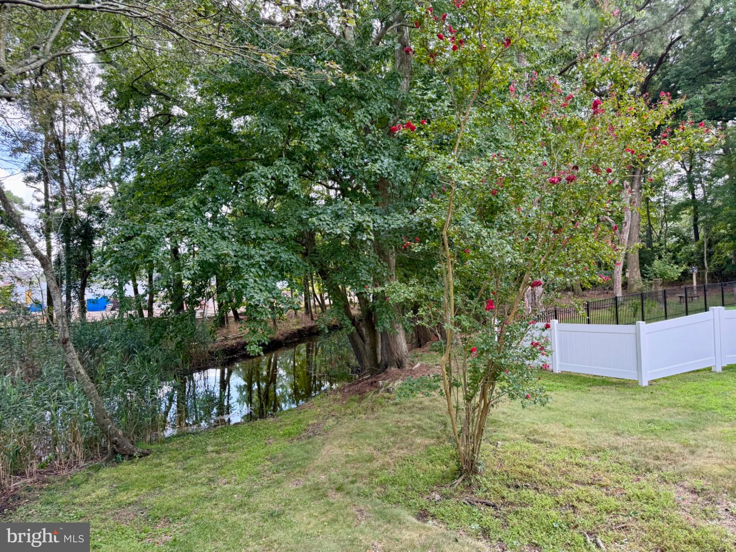 31834 MILL RUN DRIVE Property Photo 1
