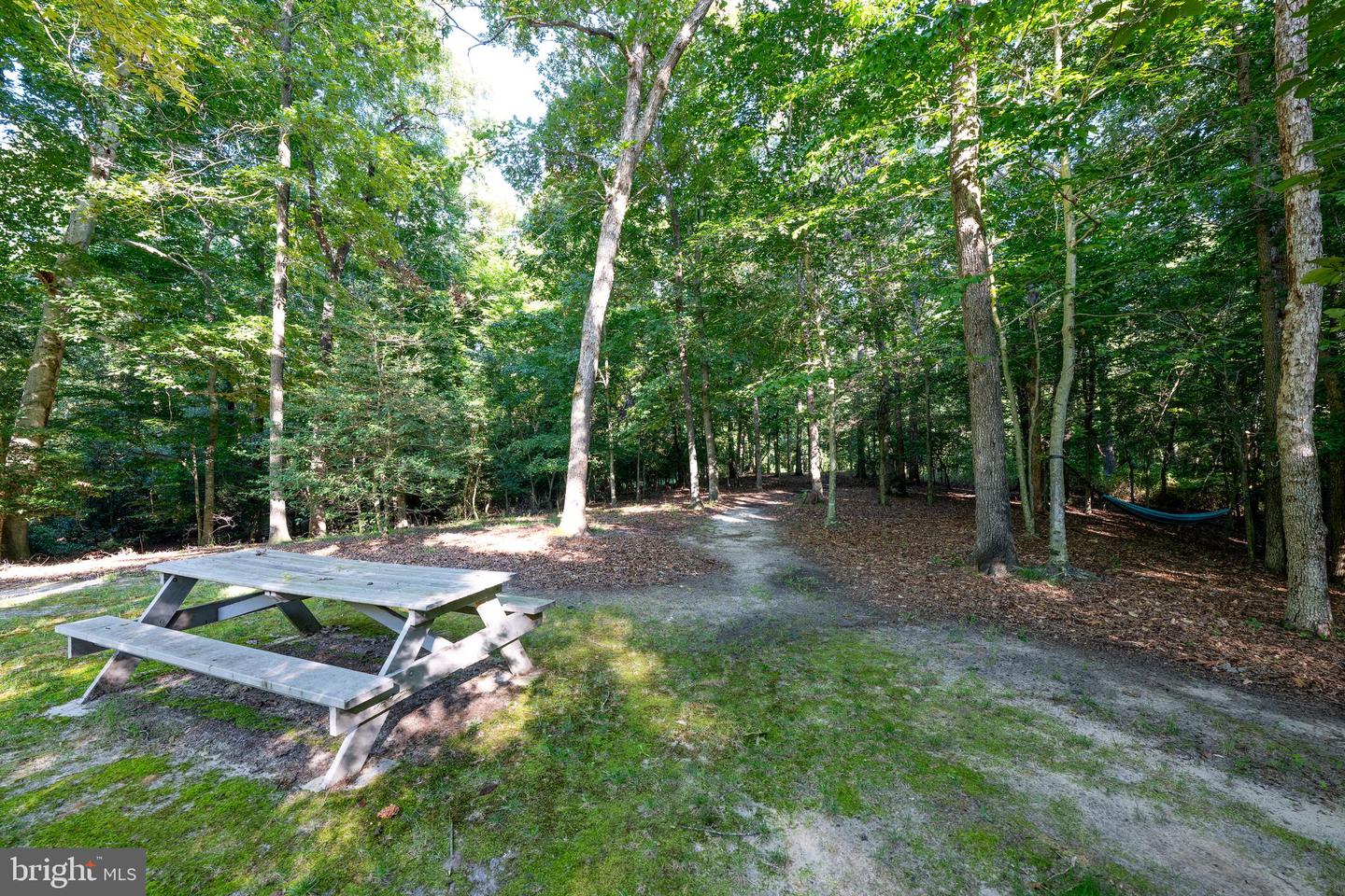17659 Meadow Dr Property Photo 42