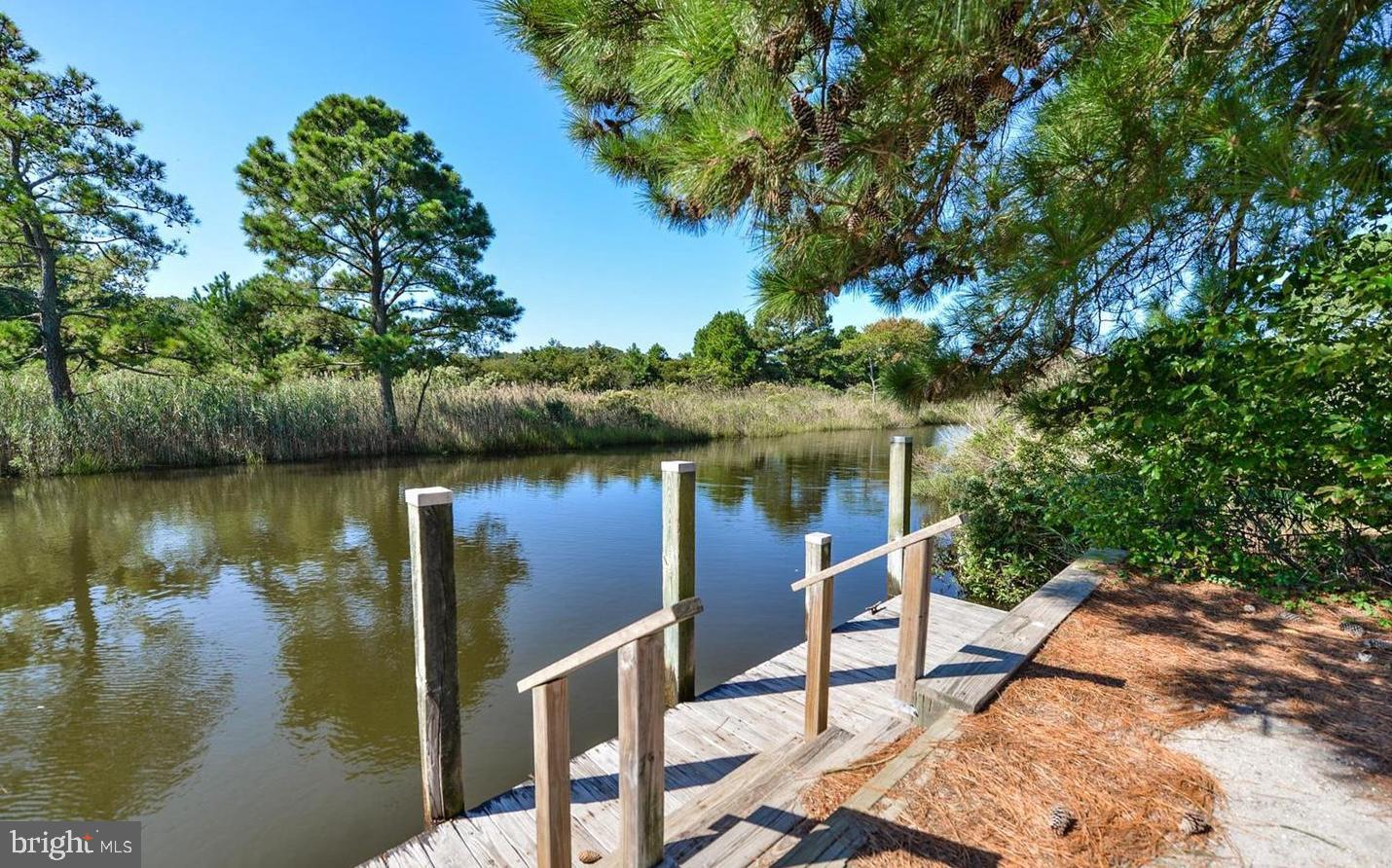 36678 Breakwater Run Property Photo 41