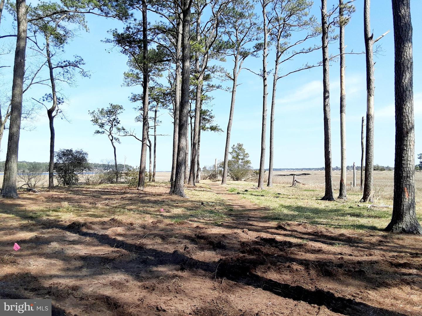 34747 Come About Cir Property Photo 36