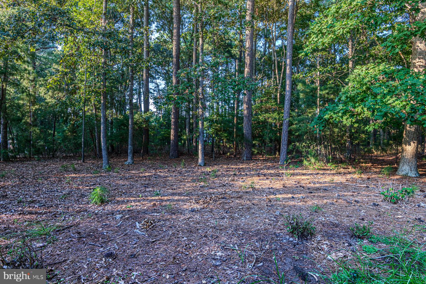 23261 Horse Island Rd Property Photo 34