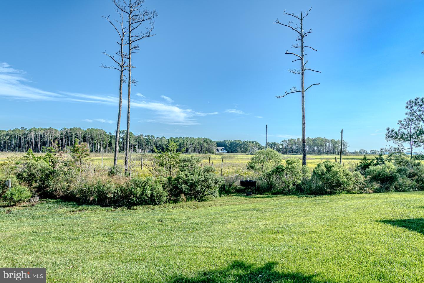 23261 Horse Island Rd Property Photo 39